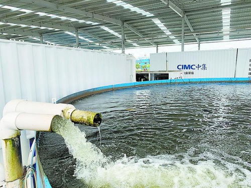 從土塘到工廠 江門(mén)水產(chǎn)養(yǎng)殖與家畜飼養(yǎng)的標(biāo)準(zhǔn)化之路