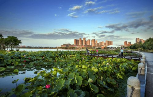 老僑喜看南京環(huán)保成就 兩會推動城市綠色發(fā)展