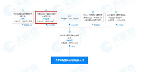 阿里系再拓新局 成立合肥菜劃算，賦能農產品銷售與網絡技術融合